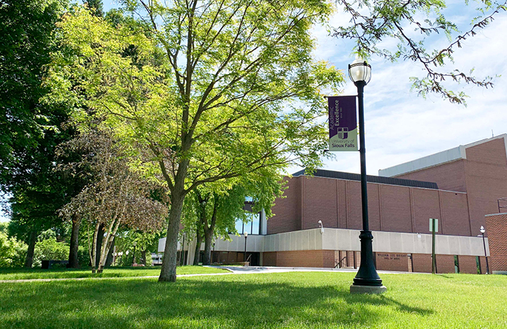 green trees on campus with usf flag