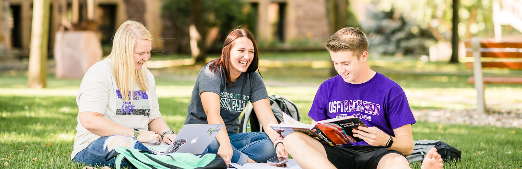 Students studying on USF's campus quad.